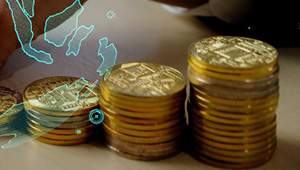 Microfinance service