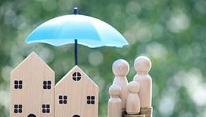 Nidhi services